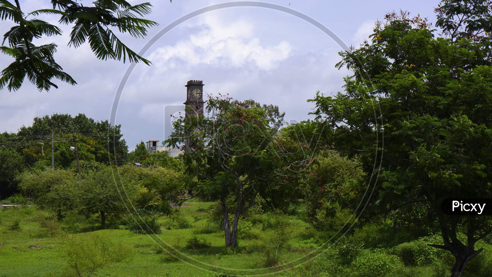 Clock Tower Isolated In Nature