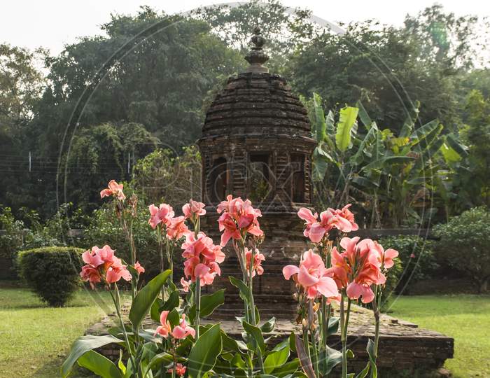 A bunch of pink flowers in front of an old temple.