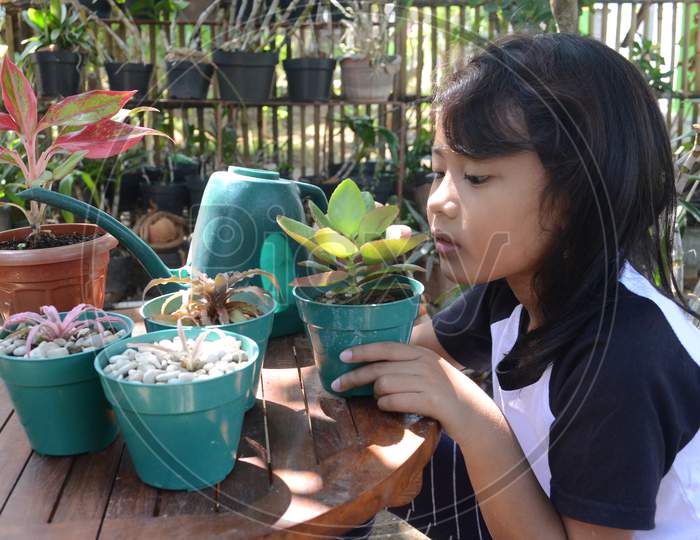 Asian Girl Sit Holding Plant In Pots On The Table To Treat For Plant Growth