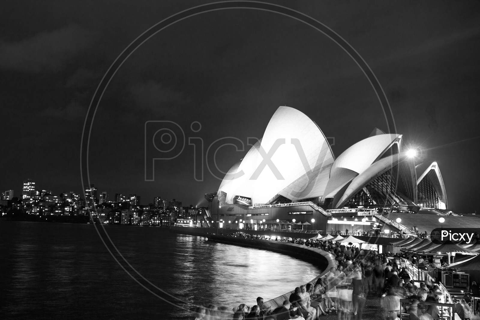 Sydney Opera House in Black and White