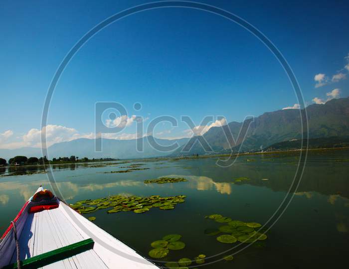 Shikara boat ride in Dal lake