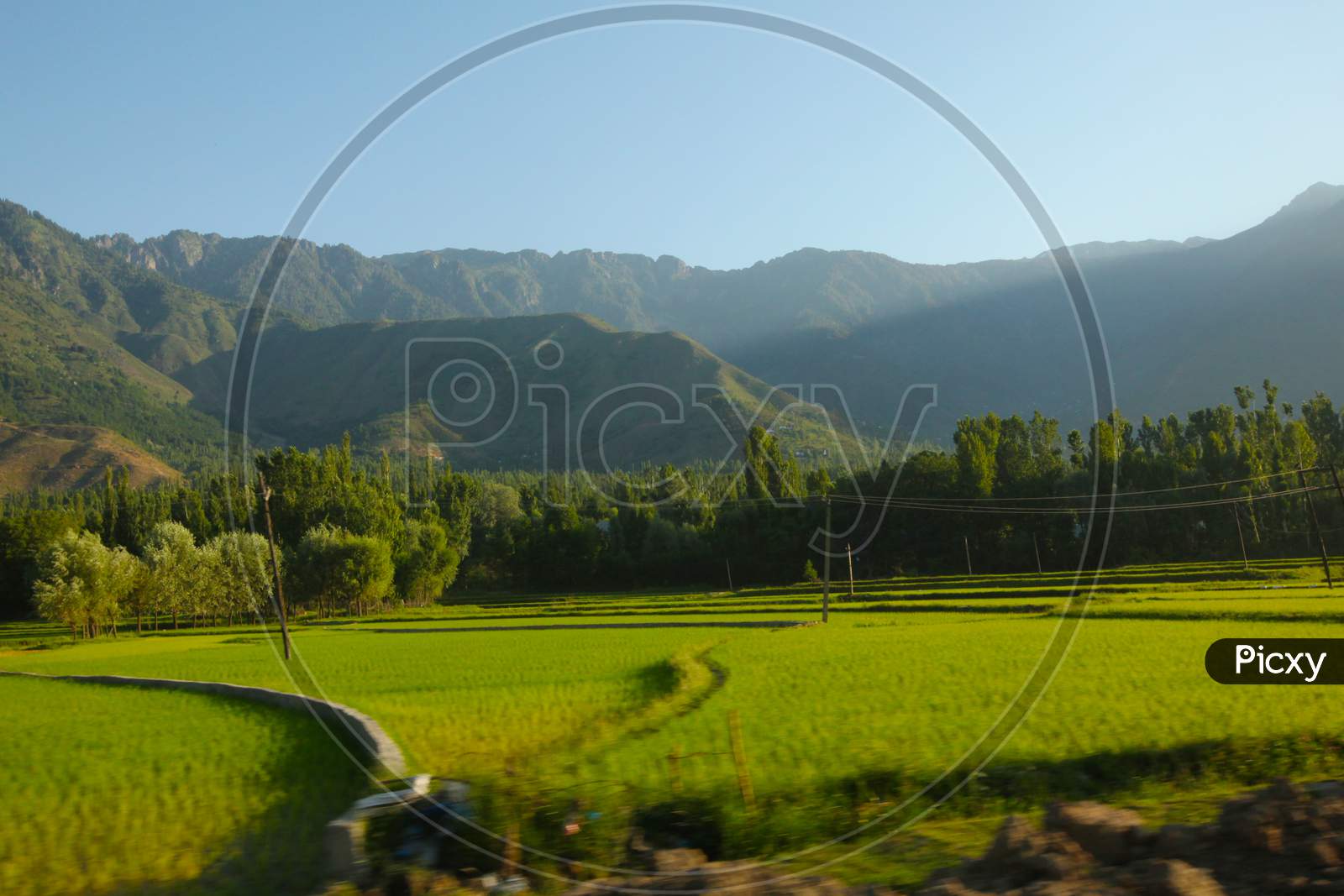 Agriculture Fields with Mountains in the Background