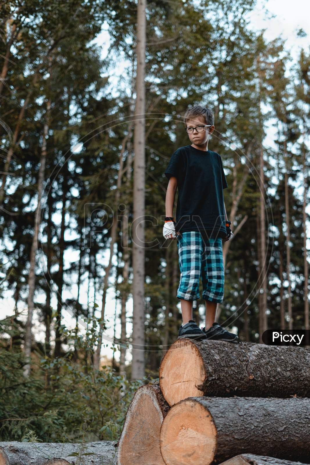 Teenager standing on the wood pile