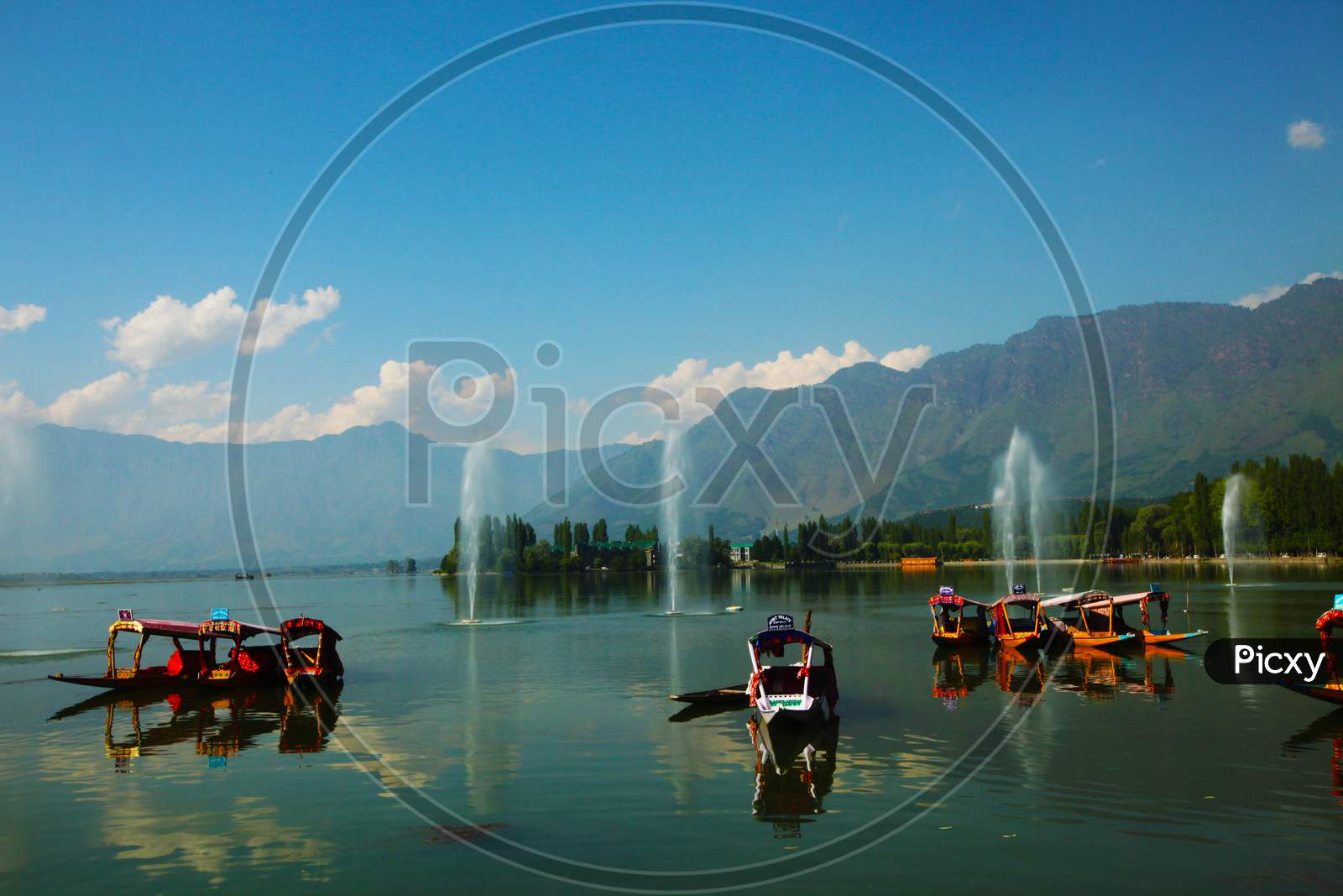 Shikara boats in Dal lake