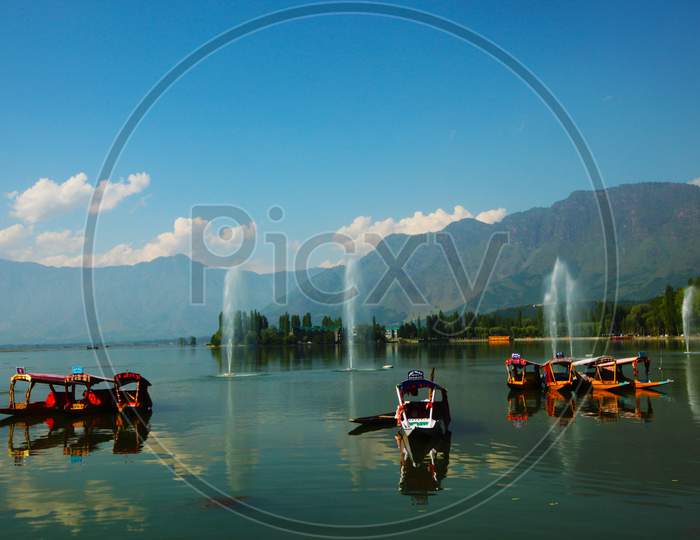 Shikara boats in Dal lake