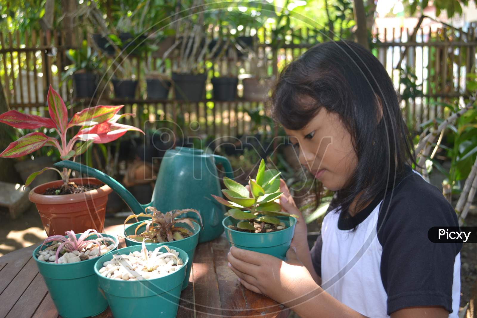 Asian Little Girl Sit Holding Plant In Pots To Care For And To See Plant Growth