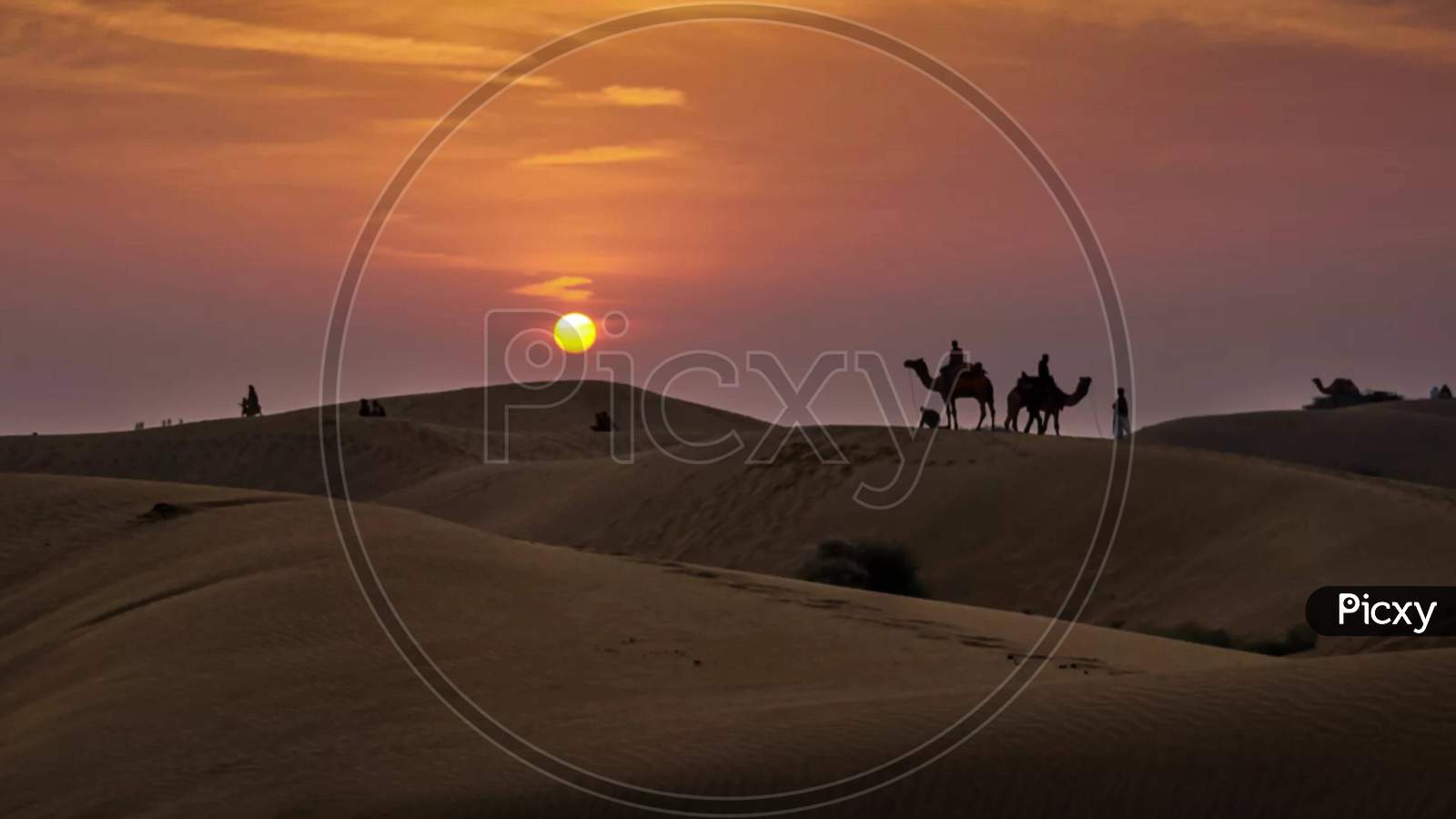 Sahara desert camel Ride at sunset