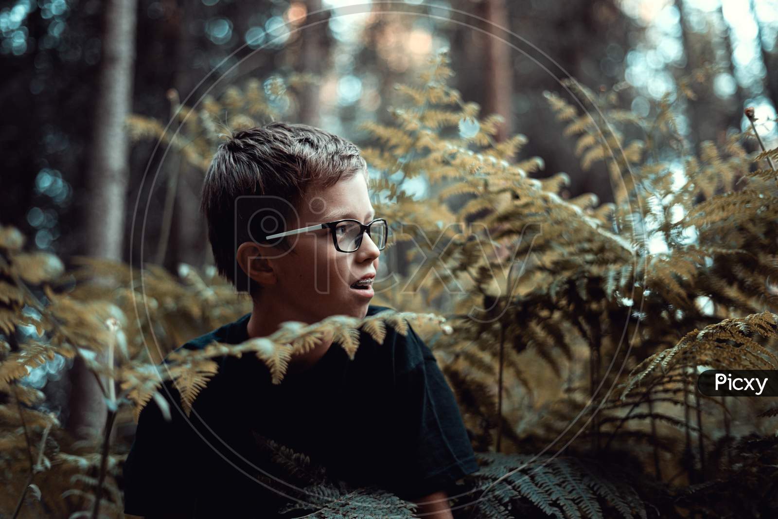 Portrait of Young teenager boy In the forest