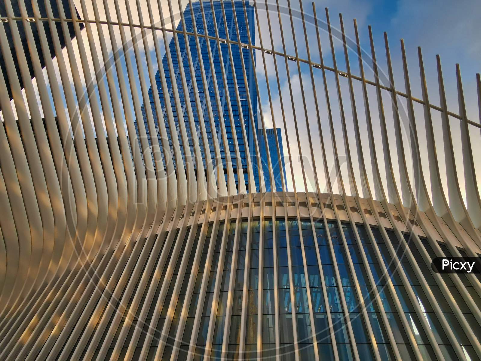 World Trade Center Transportation Hub ( Oculus)  in  New York city Financial District day light  exterior low angle close up view