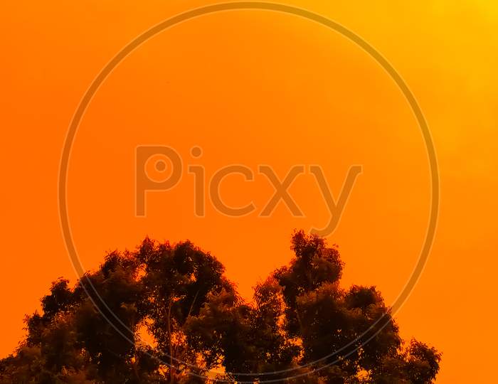 Orange Background In The Sky With Tree