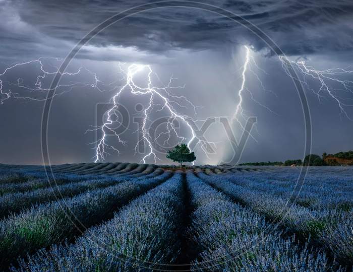 Thunderstorm at night In the flower field