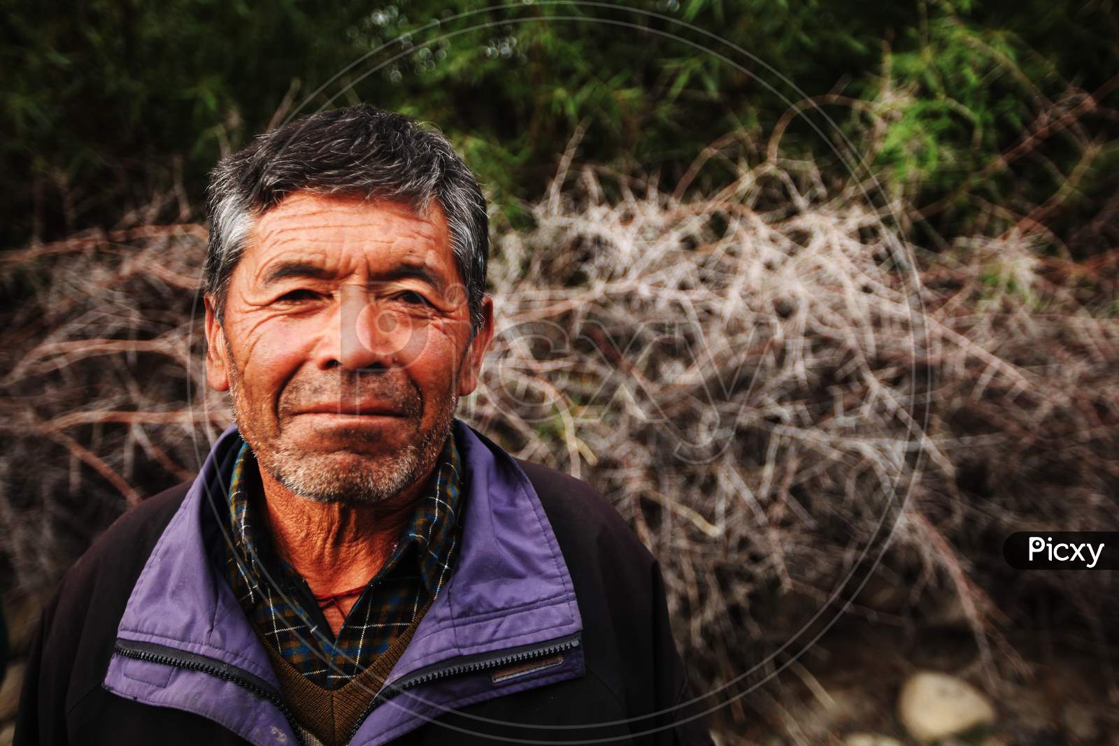 Portrait of an Old Man in Leh Ladakh