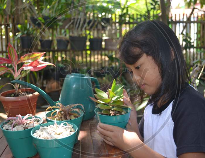 Asian Little Girl Sit Holding Plant In Pots To Care For And To See Plant Growth