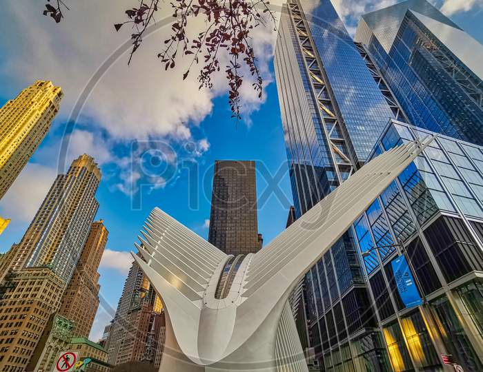 World Trade Center Transportation Hub (Oculus)  in New York city