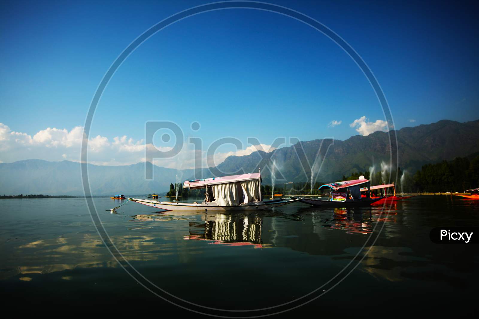 Shikara Boats in Dal Lake