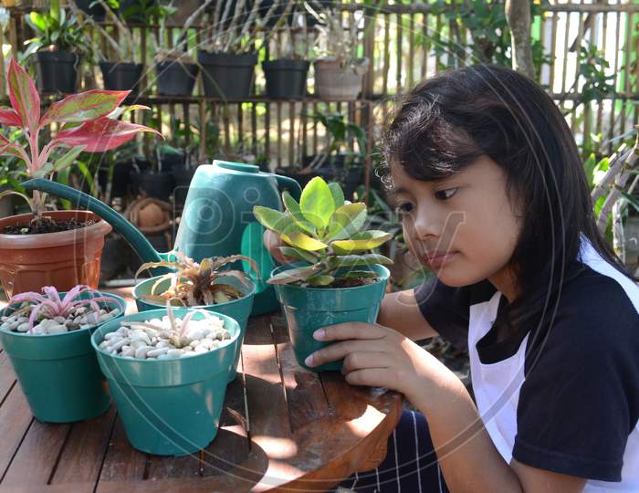 Beautiful Little Girl Sit Holding Plant In Pots On The Table To Care For And On The Table To Treat For Plant Growth