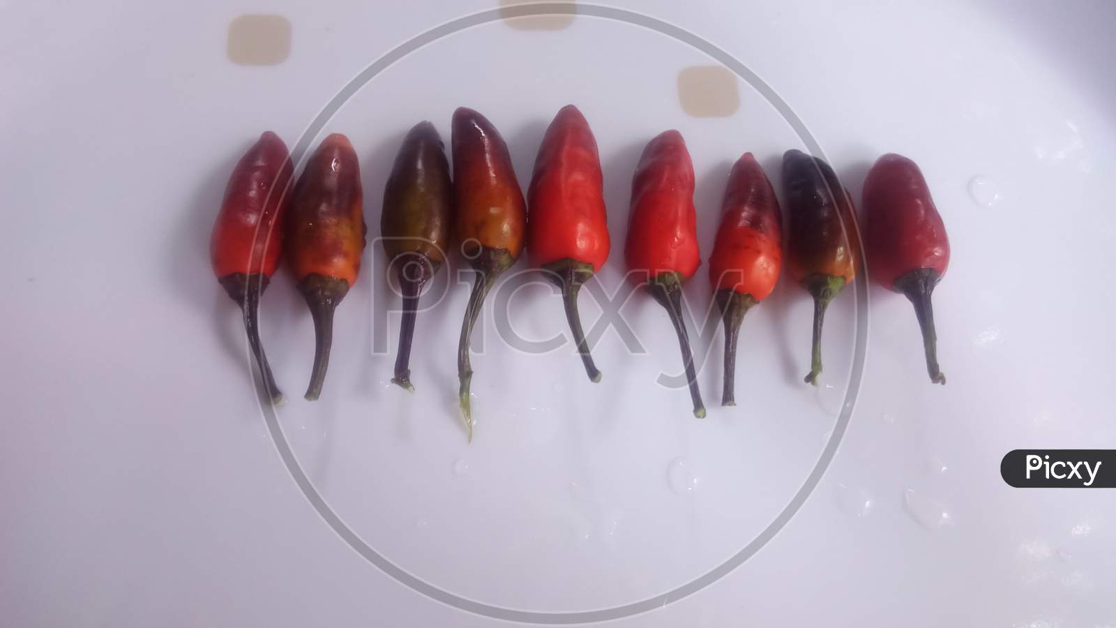 Jalapeno chilli peppers