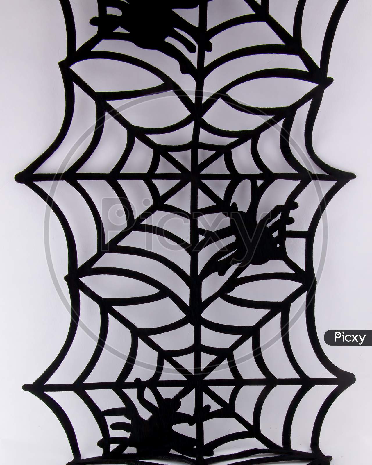 Halloween Concept With Black Spider And Web