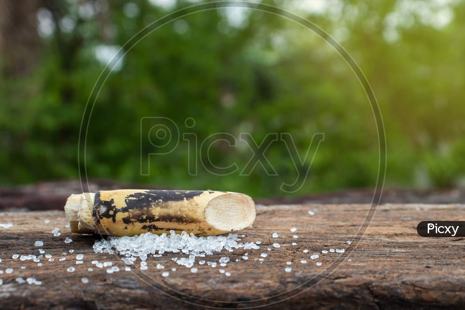 Sugarcane Piece With Sugar On Wooden Surface With Selective Focus And Copy Space For Texts Writing