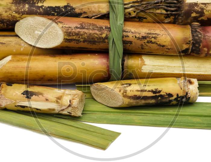 Closeup Of Sugarcane Pieces Isolated On White Background Selective Focus