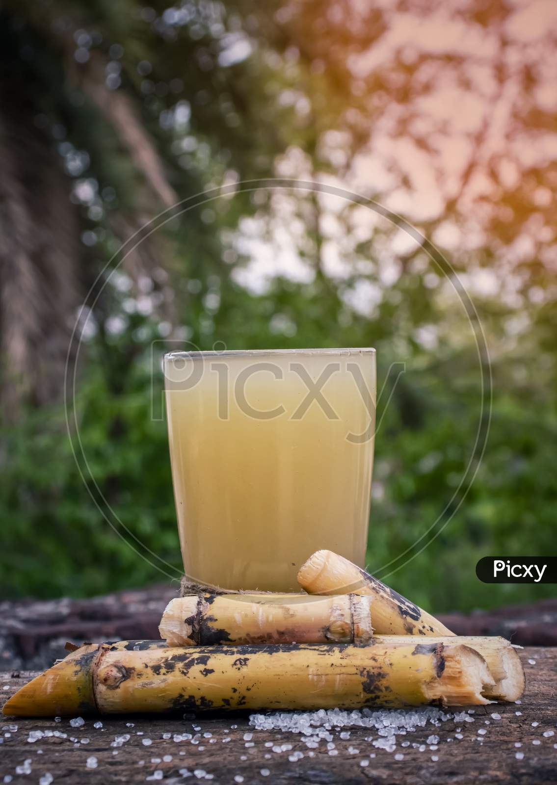 Sugarcane Juice In Glass with  Sugar Cane Pieces On Wooden Surface