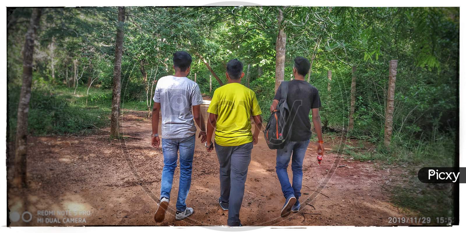 Three friends in the forest