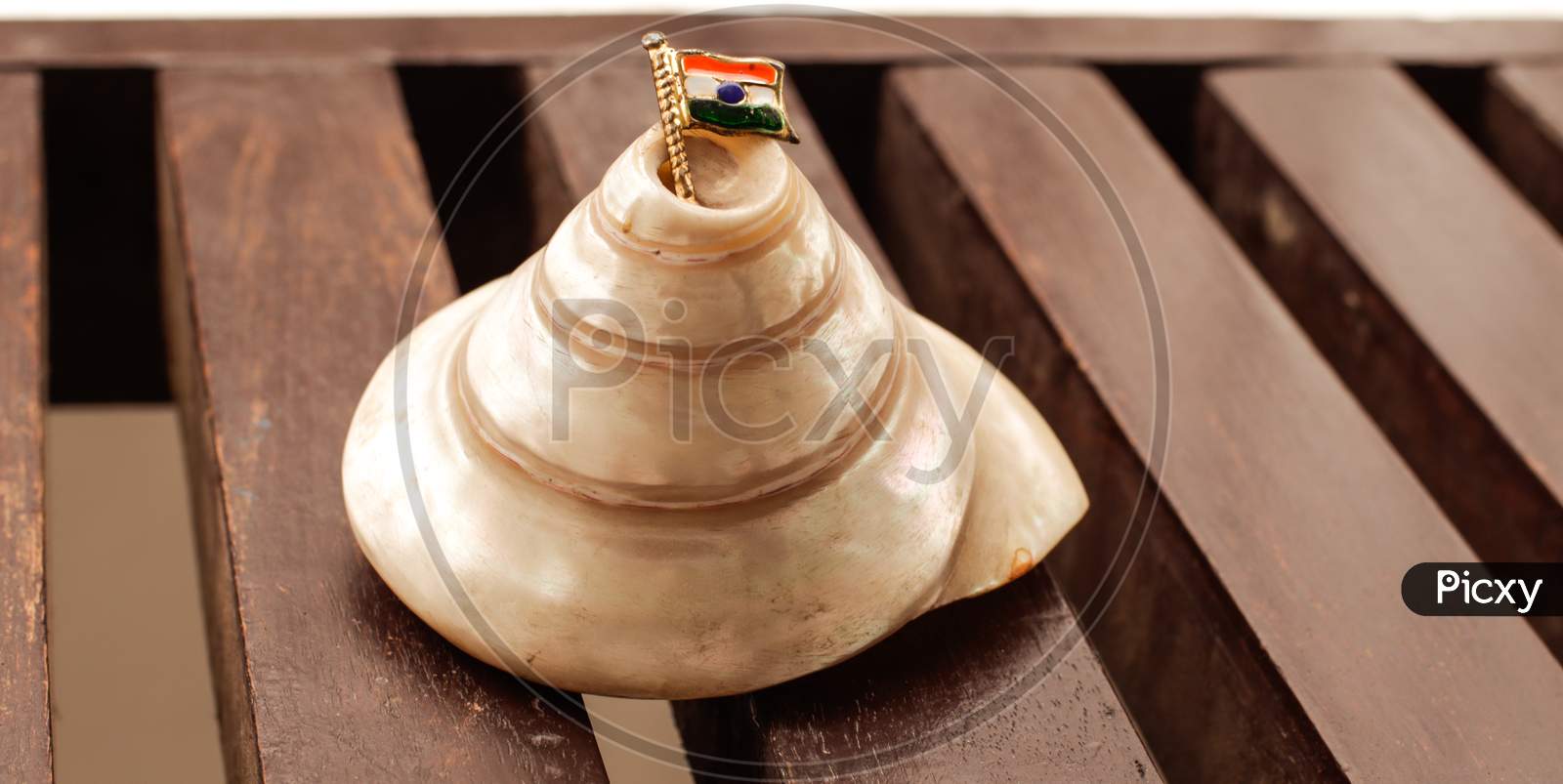 Indian Flag displayed artistically on a shell with selective focus on the subject and blurred background