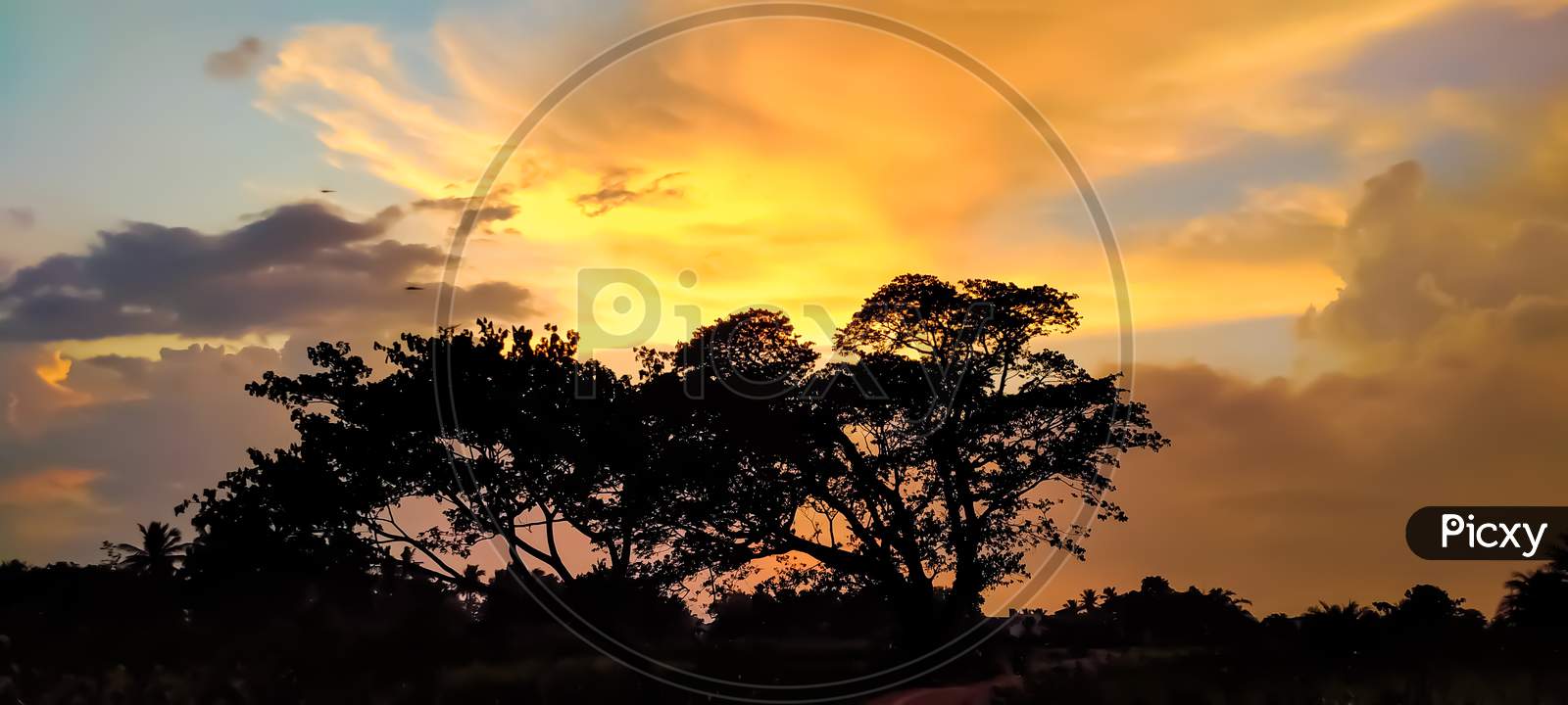 evening nature wallpaper son image sunrise sky tree