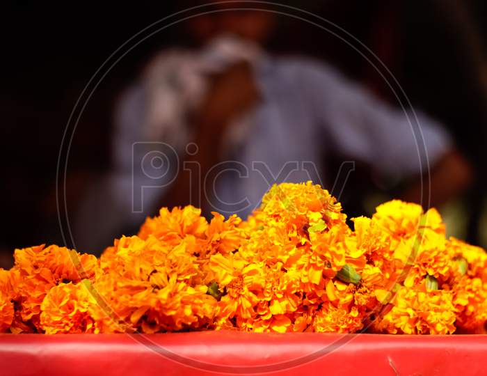 Marigold flowers with selective focus on the subject and blurred background