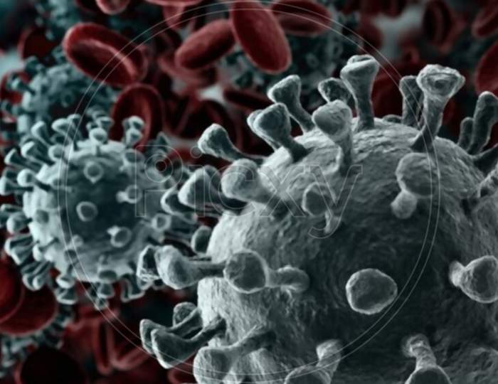 Corona virus image close up
