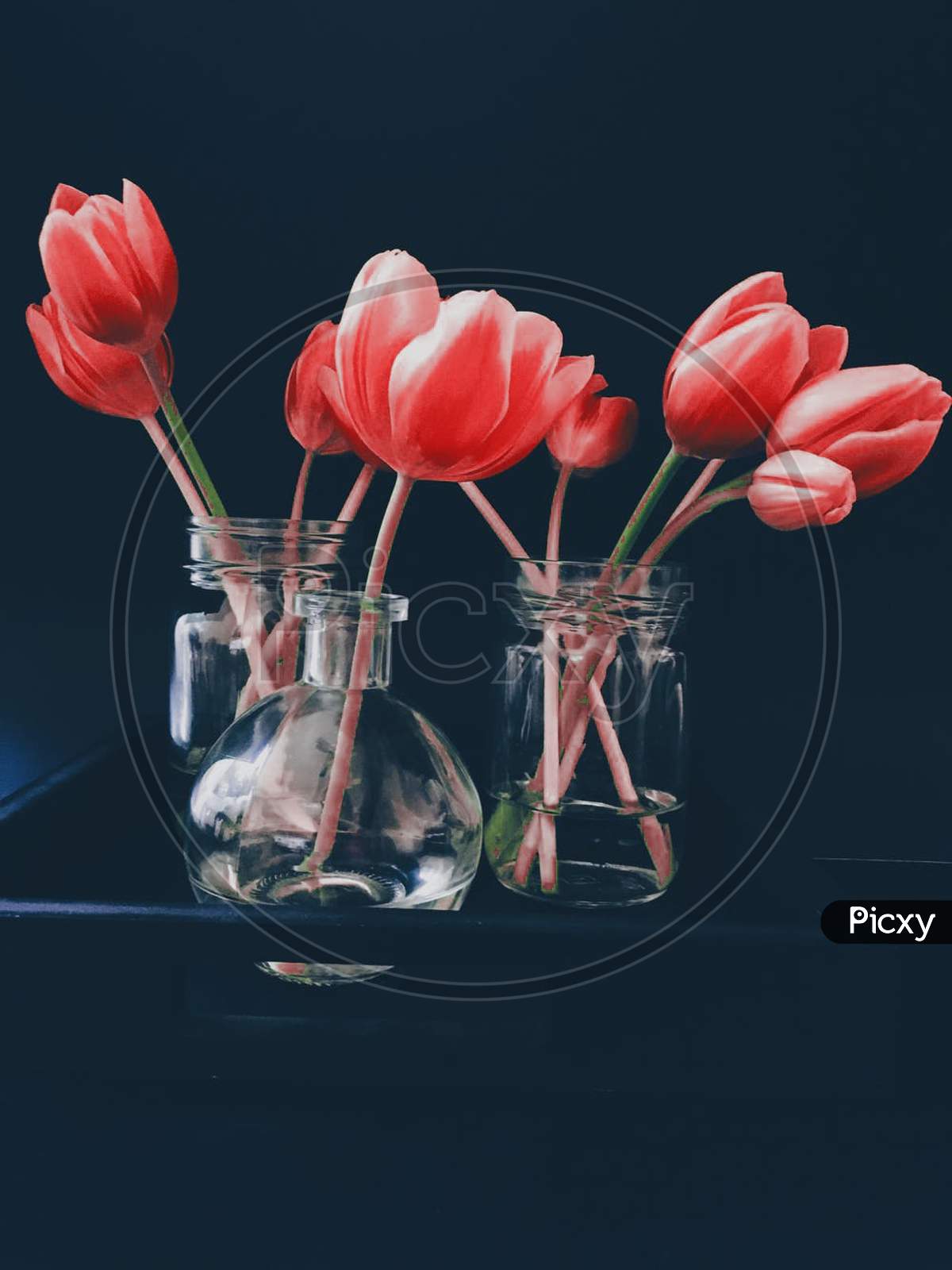 Flower pot  and red flowers