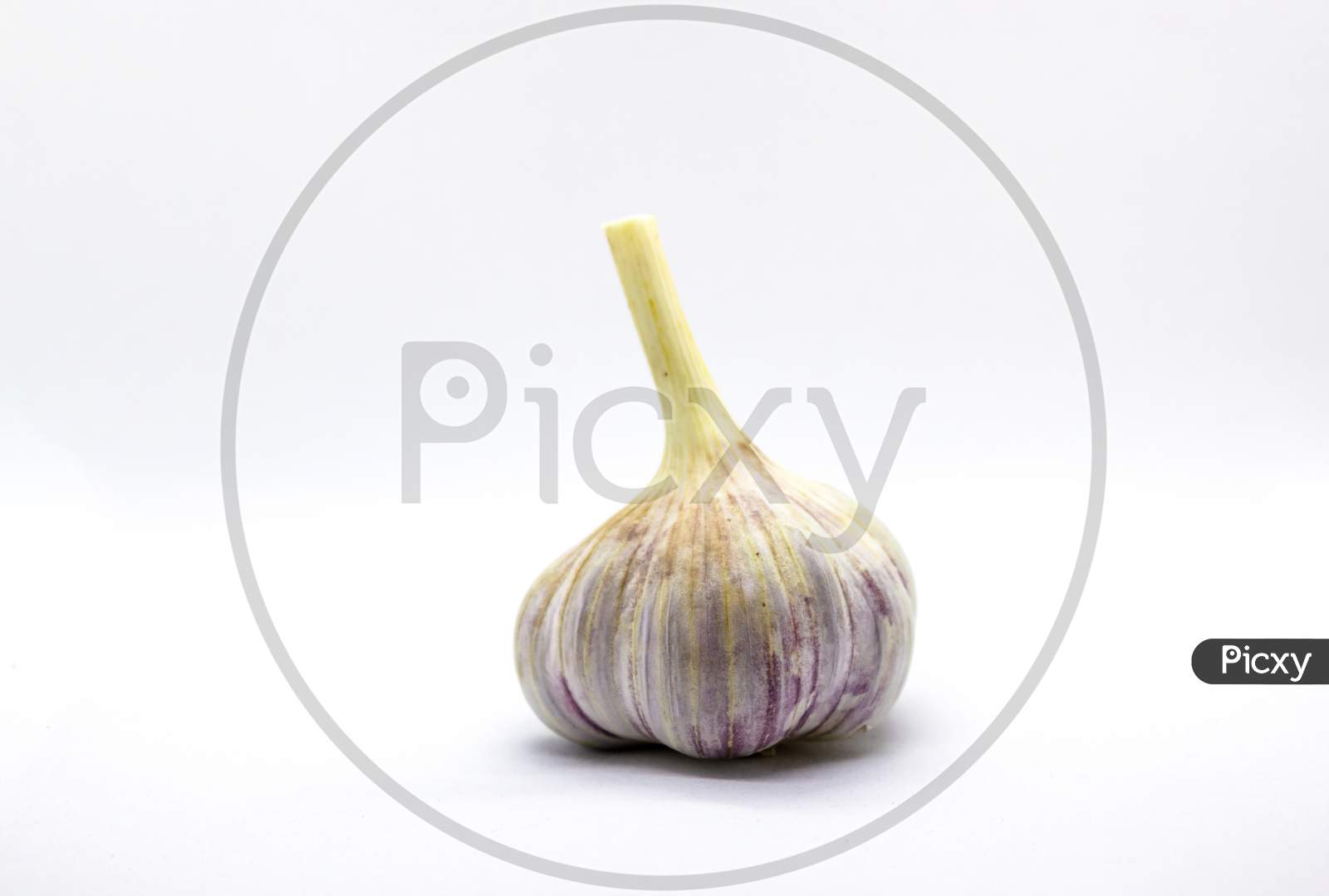 Close Up Of A Raw Unpeeled Garlic Against White Background