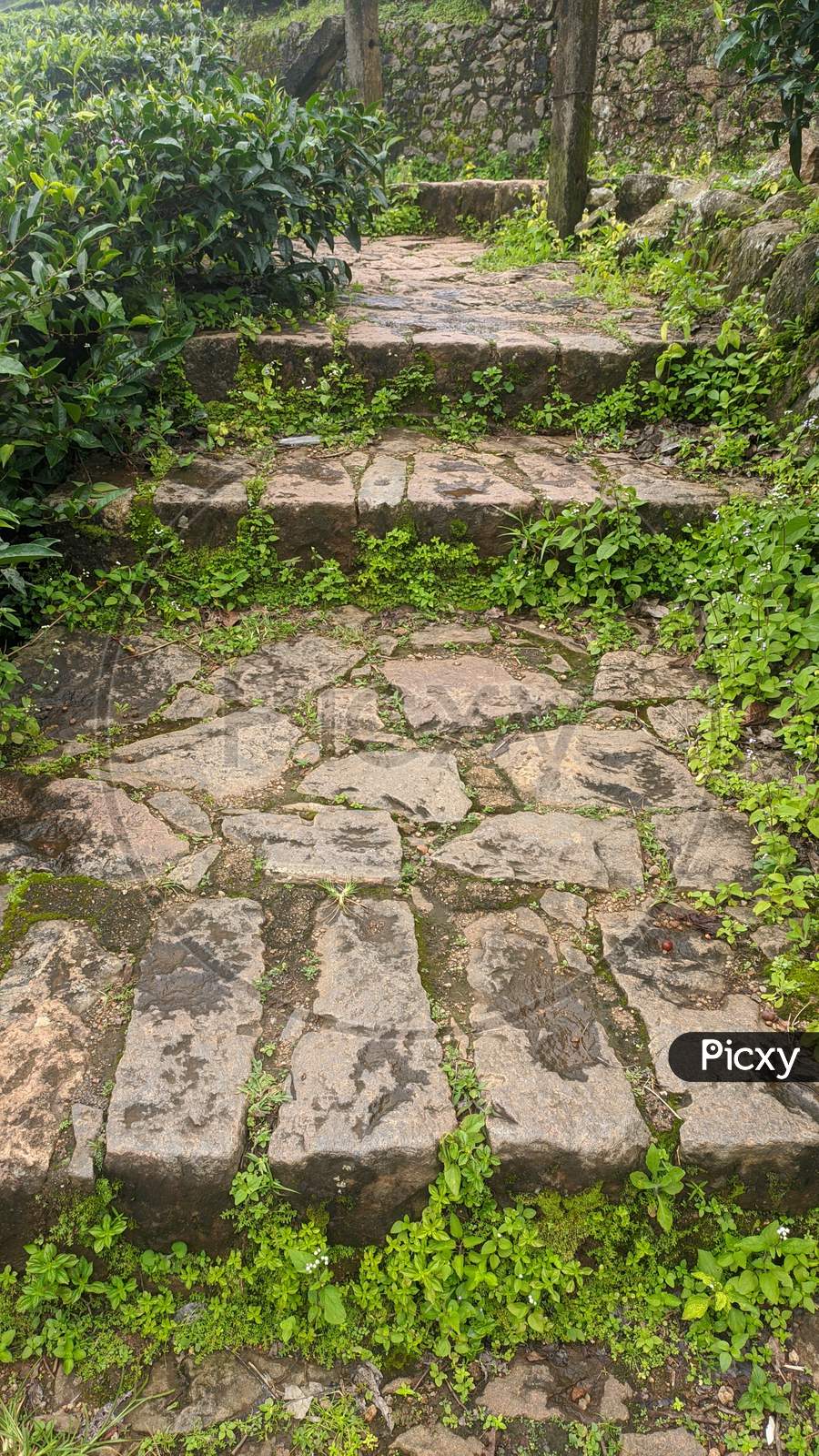 Old stairs with stone steps