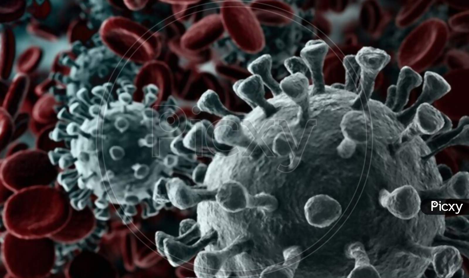 Corona virus image close up