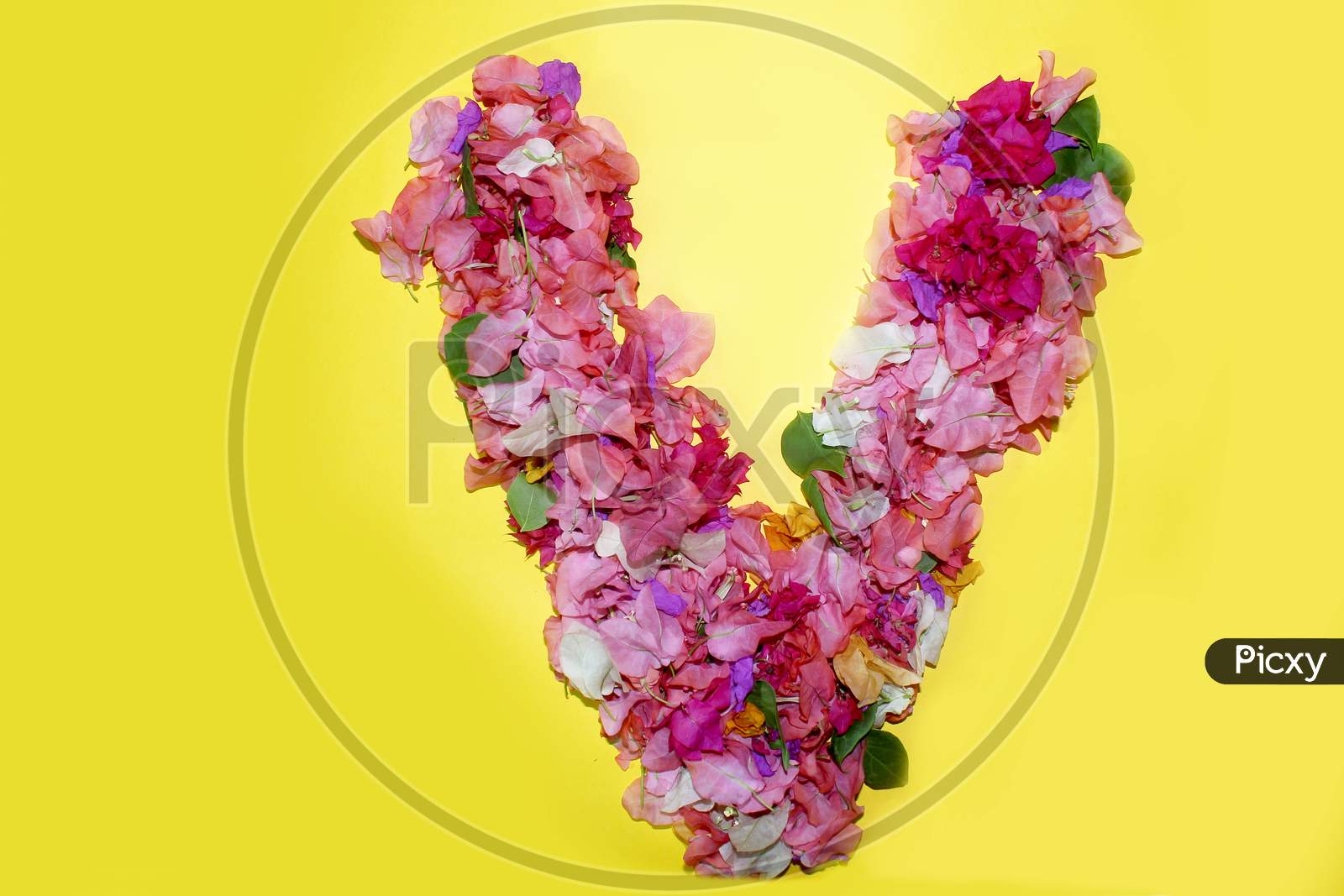 Image of Letter V Flower Alphabet Creative Text Greeting-NE639107 ...