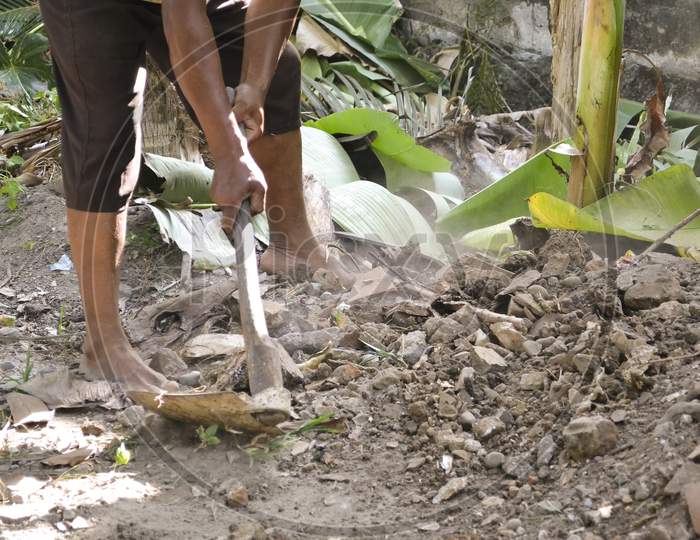Cropped Image Of Dustman Clean Banana Leaf Waste By Using A Hoe In The Yard