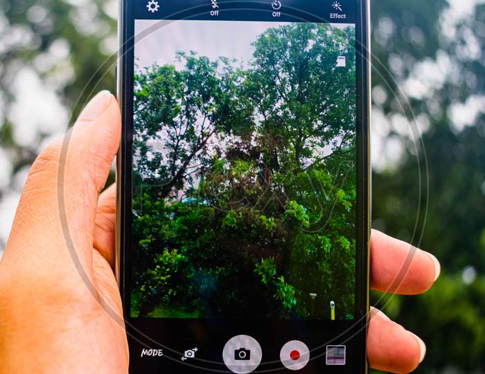 Smart Phone Holding In Hand And Capturing Photo of Nature. Nature Photography through mobile screen, everything but the picture on display is blur in background. Cell Phone Photography In Warm Mood.