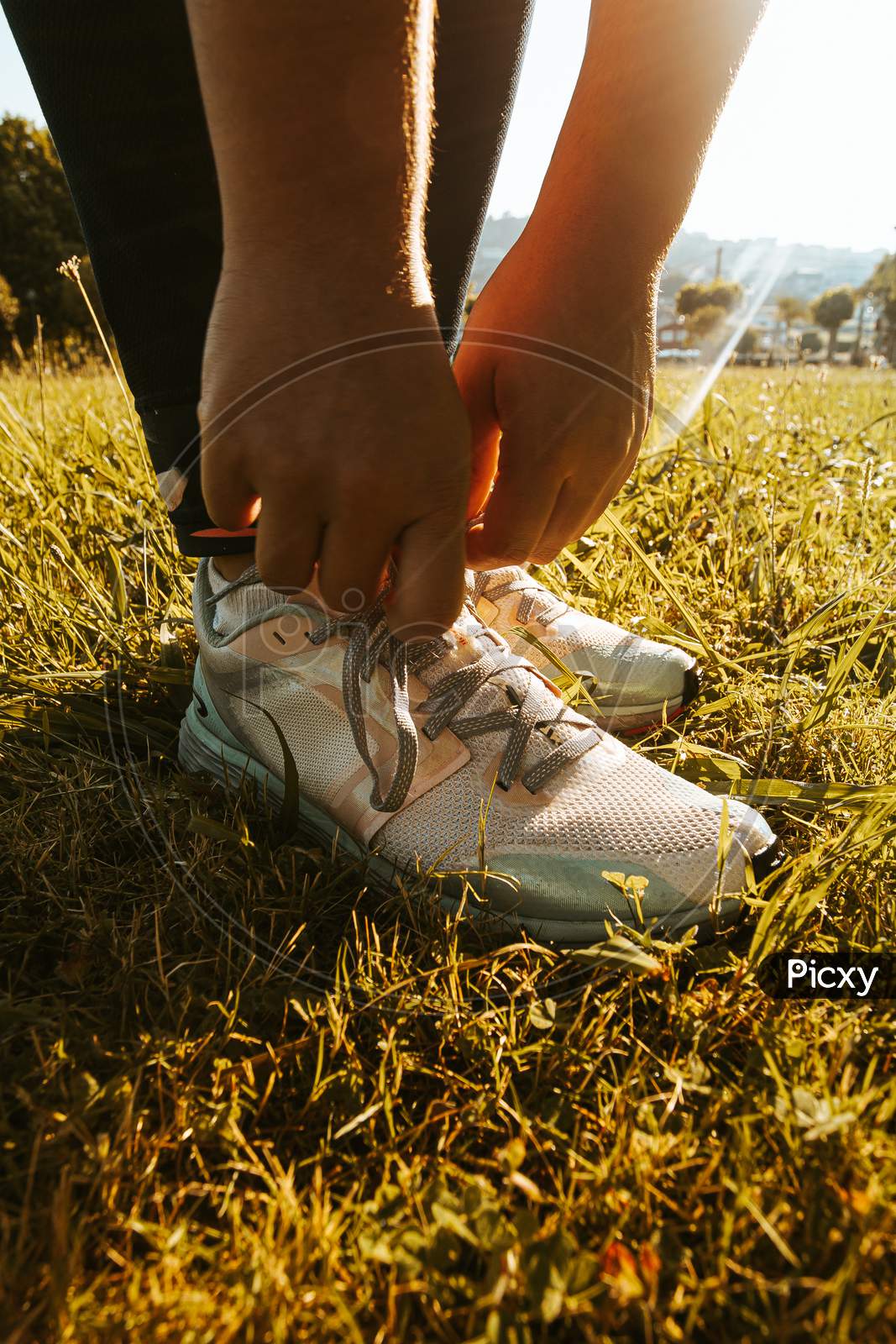 Young Woman Tying Laces Of Running Shoes