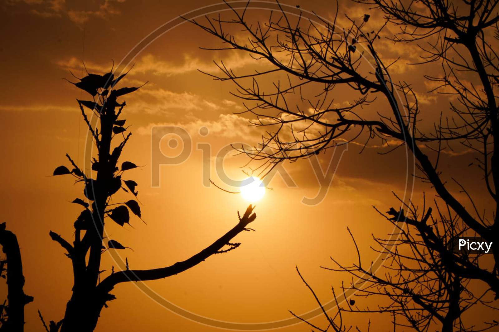 Sunset silhouette image