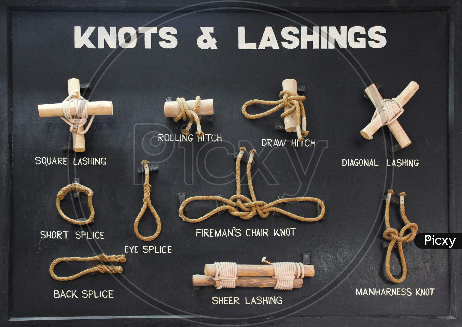 A board on knots and lashings
