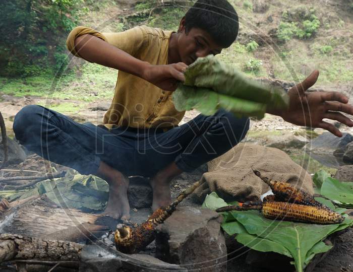 a boy how make corn in forest