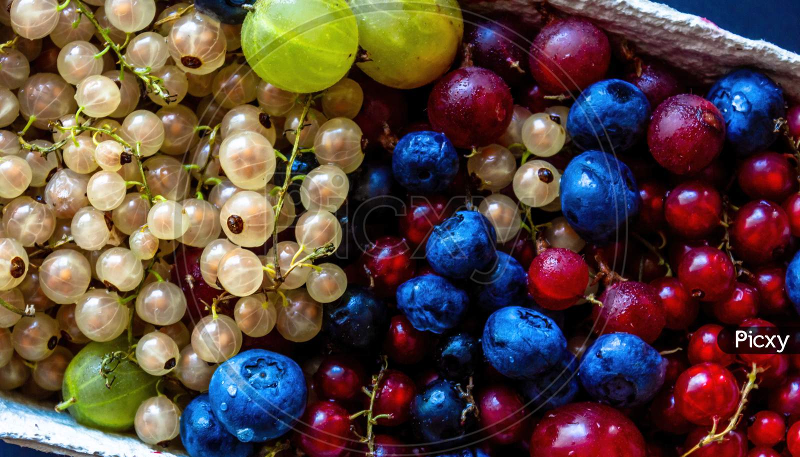Abstract Close Up Colorful Berries Such As Blueberry, Cherry White Currant & Red Currant
