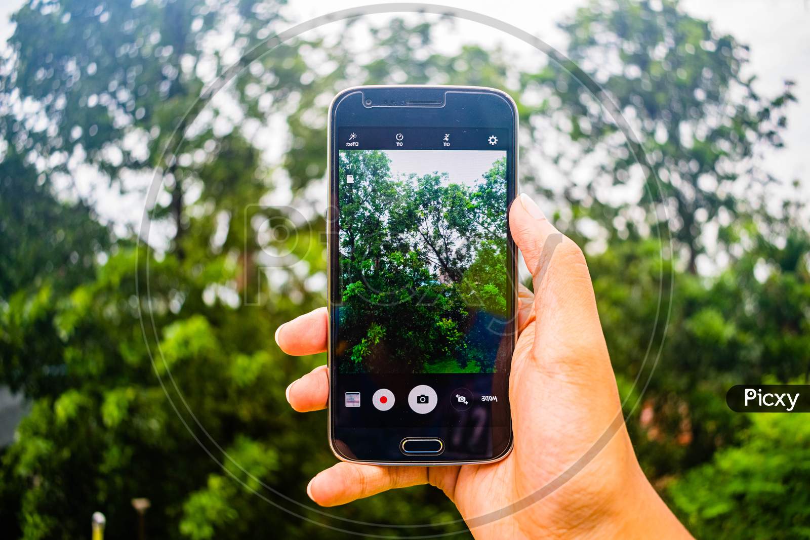 Smart Phone Holding In Hand And Capturing Photo of Nature. Nature Photography through mobile screen, everything but the picture on display is blur in background. Cell Phone Photography In Warm Mood.