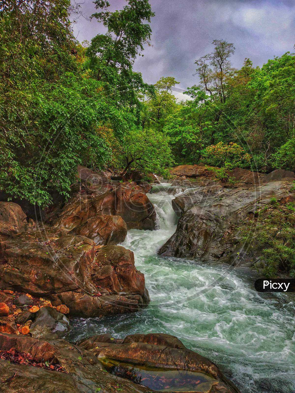 Water Fall In A Dense Forest.