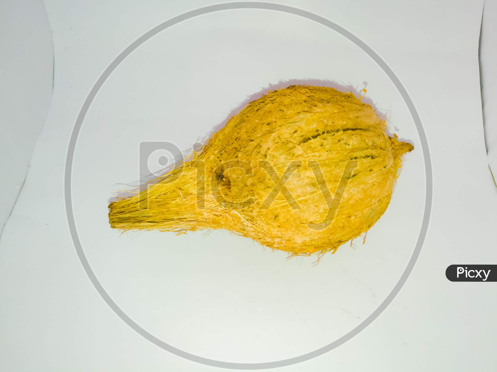 Coconut Placed Isolated In A White Background Without Husk.