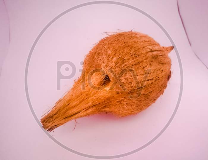 Coconut Placed Isolated In A White Background Without Husk.
