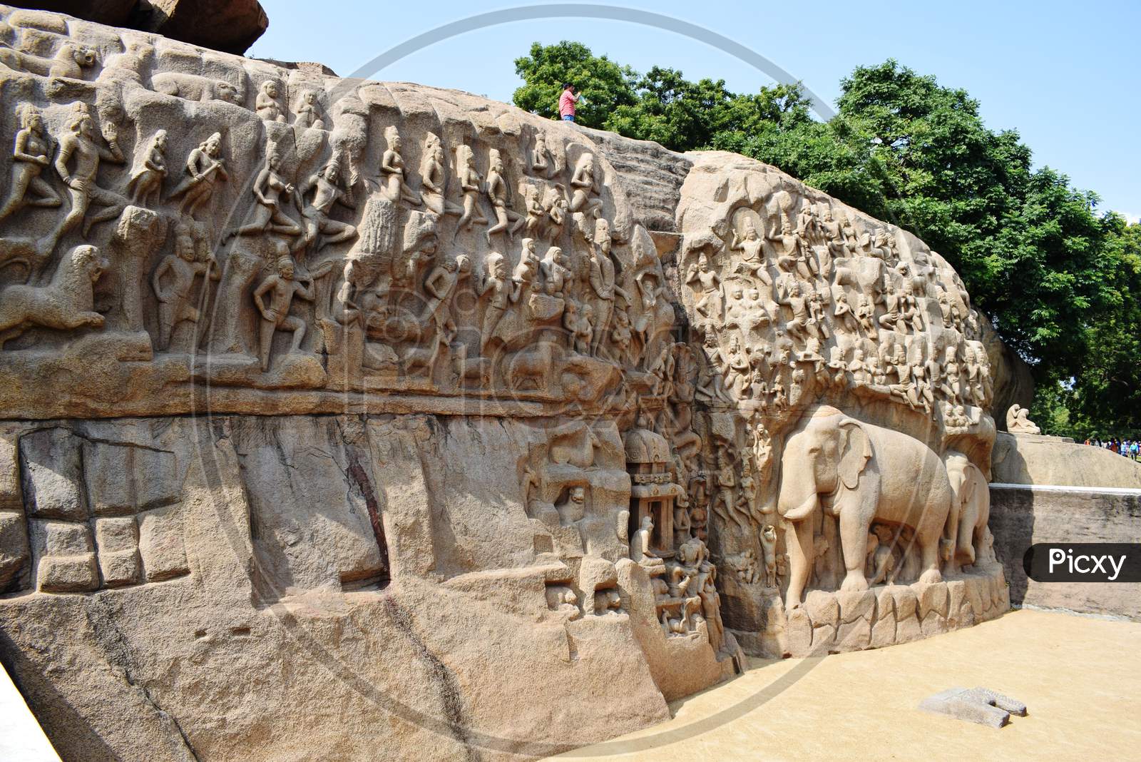 Arjuna's Penance a large rock relief carving in mahabalipuram, India