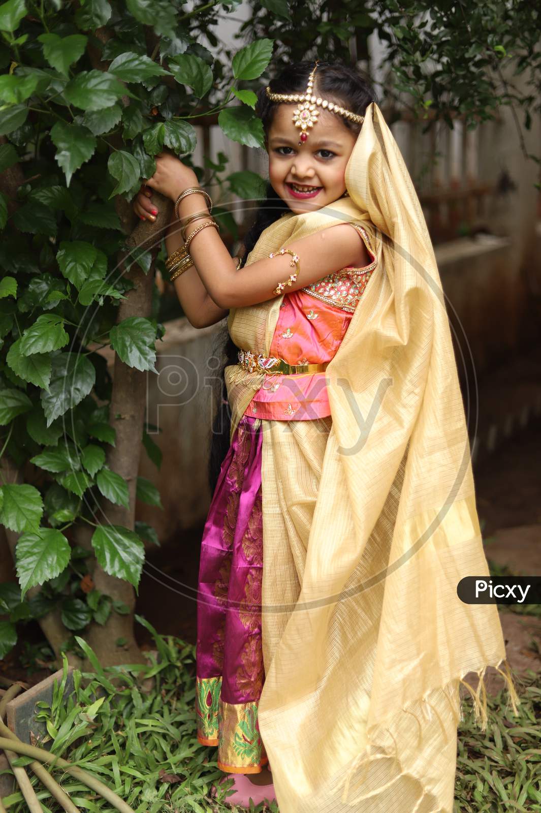 Image of Cute little girl dressed in traditional Indian sari to ...