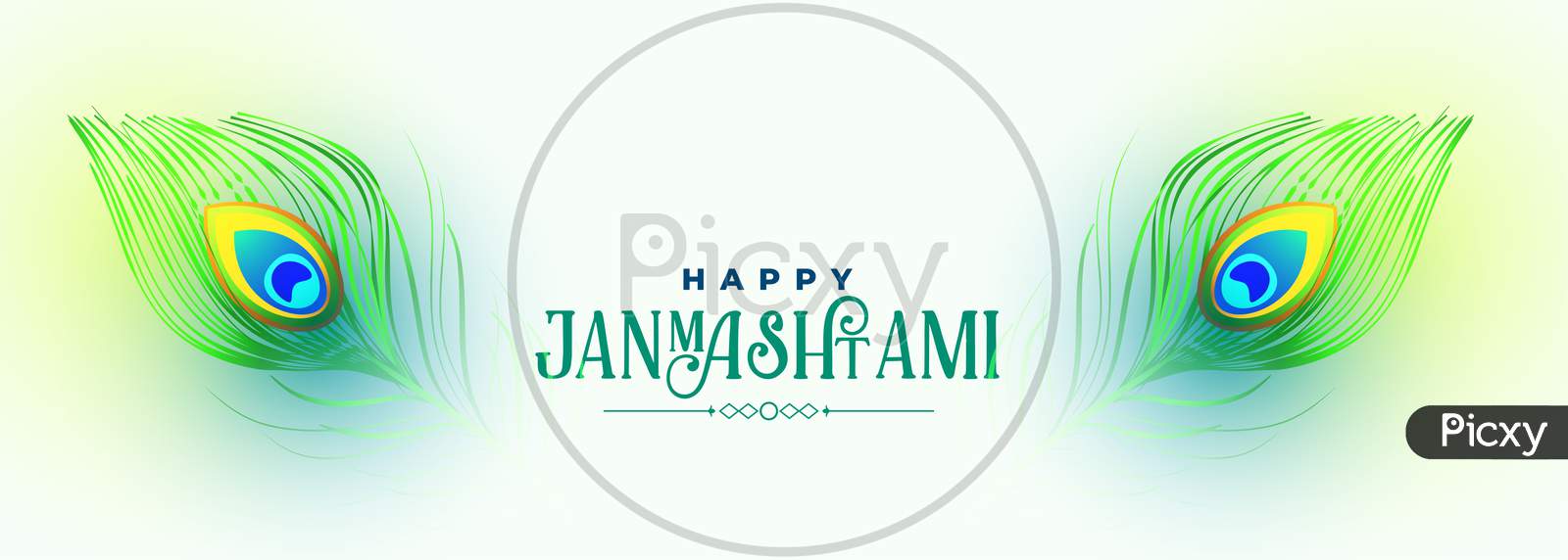 Happy Krishna Janmashtami Peacock Feather Banner Design