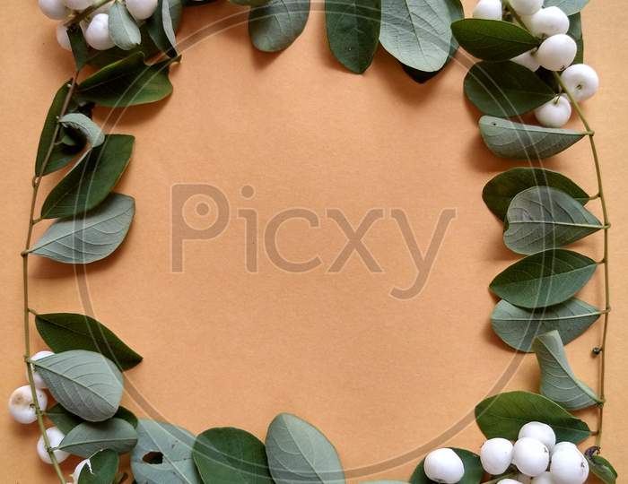Abstract background of sprigs of snowberry plant.